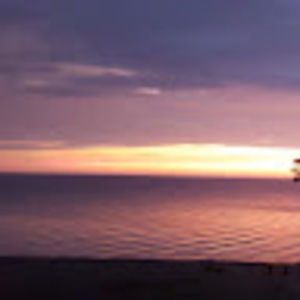 Meet your Posher, Sheila